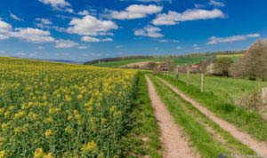 Werra-Burgen-Steig Hessen 60 Werra-Burgen-Steig Hessen 60