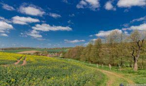 Werra-Burgen-Steig Hessen 61 Werra-Burgen-Steig Hessen 61