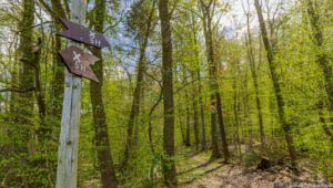 Werra-Burgen-Steig Hessen 63 Werra-Burgen-Steig Hessen 63