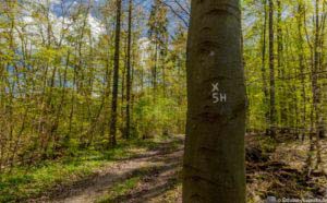 Werra-Burgen-Steig Hessen 64 Werra-Burgen-Steig Hessen 64