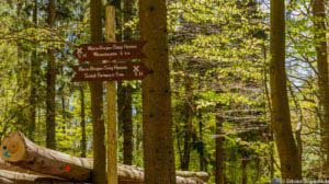 Werra-Burgen-Steig Hessen 65 Werra-Burgen-Steig Hessen 65