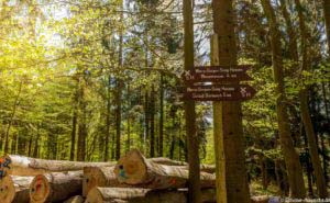 Werra-Burgen-Steig Hessen 67 Werra-Burgen-Steig Hessen 67