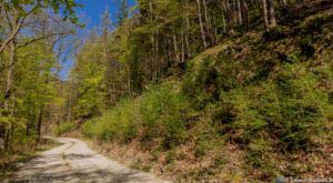 Werra-Burgen-Steig Hessen 69 Werra-Burgen-Steig Hessen 69