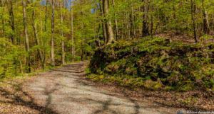 Werra-Burgen-Steig Hessen 70 Werra-Burgen-Steig Hessen 70