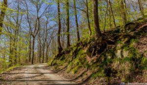 Werra-Burgen-Steig Hessen 71 Werra-Burgen-Steig Hessen 71