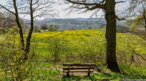 Werra-Burgen-Steig Hessen 72 Werra-Burgen-Steig Hessen 72