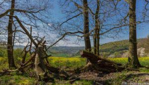 Werra-Burgen-Steig Hessen 74 Werra-Burgen-Steig Hessen 74