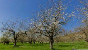 Werra-Burgen-Steig Hessen 76 Werra-Burgen-Steig Hessen 76