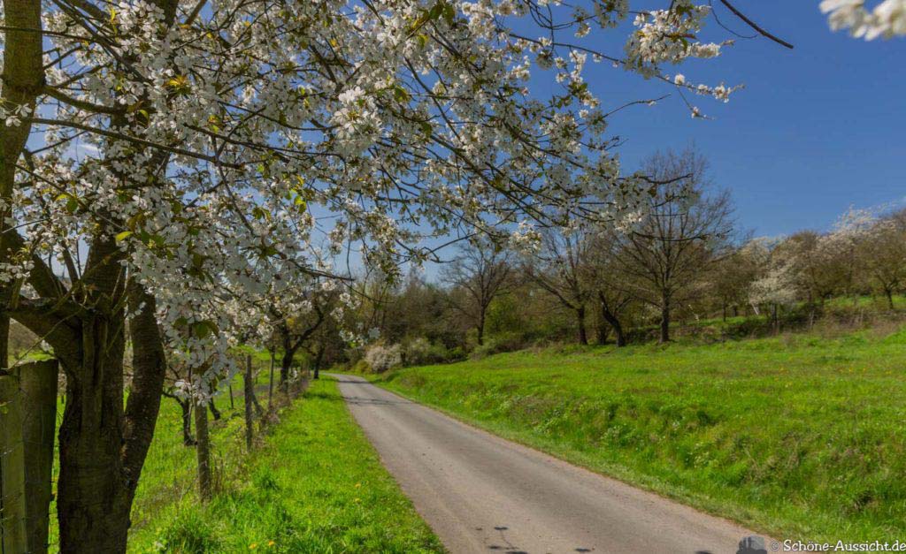 Bierwanderwege in Franken - Erlebt Natur und Braukunst 15 Bier und Kirschenweg