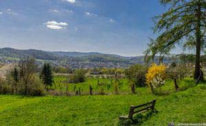 Werra-Burgen-Steig Hessen 78 Werra-Burgen-Steig Hessen 78