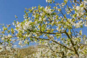 Werra-Burgen-Steig Hessen 79 Werra-Burgen-Steig Hessen 79