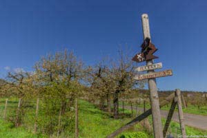 Werra-Burgen-Steig Hessen 80 Werra-Burgen-Steig Hessen 80