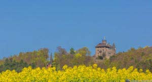 Werra-Burgen-Steig Hessen 81 Werra-Burgen-Steig Hessen 81