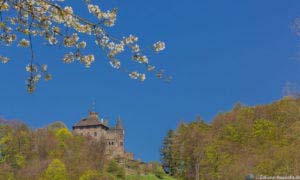 Werra-Burgen-Steig Hessen 84 Werra-Burgen-Steig Hessen 84