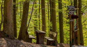 Werra-Burgen-Steig Hessen 85 Werra-Burgen-Steig Hessen 85