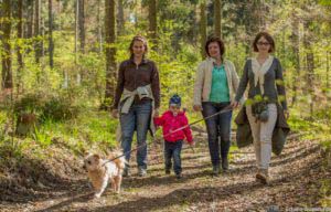 Werra-Burgen-Steig Hessen 89 Werra-Burgen-Steig Hessen 89