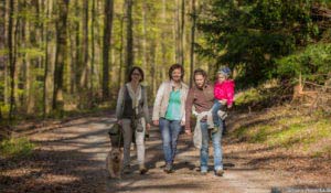 Werra-Burgen-Steig Hessen 90 Werra-Burgen-Steig Hessen 90