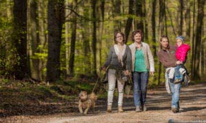 Werra-Burgen-Steig Hessen 91 Werra-Burgen-Steig Hessen 91