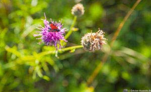 Stadtführungen in Unterfranken - Historisch spannende Touren 2