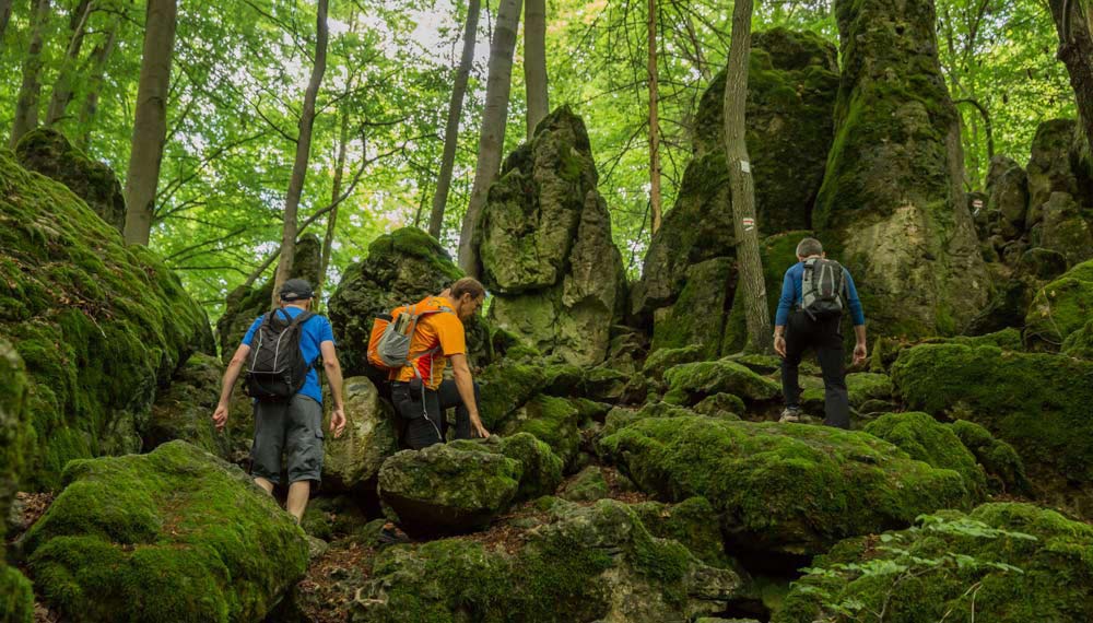 Wandern in der Fränkischen Schweiz - Top Wege und Felsen 44 Eibgrat Wanderung in Bayern