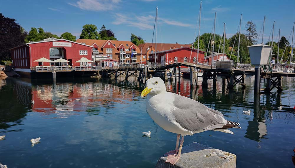 Eckernförde - Mit der charmanten Hafenbucht 2