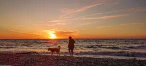 Gespensterwald Nienhagen 14 Wandern Ostsee