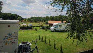 naturcamp zwei birken