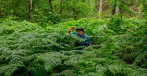 Nordpfad Dör't Moor - Zwischen Urwald und Pfaden 87 Nordpfad Dör't Moor - Zwischen Urwald und Pfaden 71
