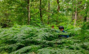 Nordpfad Dör't Moor - Zwischen Urwald und Pfaden 88 Nordpfad Dör't Moor - Zwischen Urwald und Pfaden 72