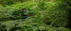 Nordpfad Dör't Moor - Zwischen Urwald und Pfaden 89 Nordpfad Dör't Moor - Zwischen Urwald und Pfaden 73