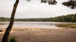 Nordpfad Dör't Moor - Zwischen Urwald und Pfaden 19 Nordpfad Dör't Moor - Zwischen Urwald und Pfaden 9