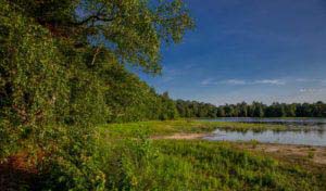 Nordpfad Dör't Moor - Zwischen Urwald und Pfaden 17 Nordpfad Dör't Moor - Zwischen Urwald und Pfaden 8