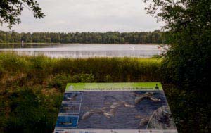 Nordpfad Dör't Moor - Zwischen Urwald und Pfaden 25 Nordpfad Dör't Moor - Zwischen Urwald und Pfaden 14