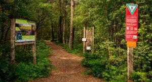 Nordpfad Dör't Moor - Zwischen Urwald und Pfaden 26 Nordpfad Dör't Moor - Zwischen Urwald und Pfaden 15
