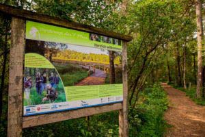 Nordpfad Dör't Moor - Zwischen Urwald und Pfaden 27 Moor