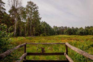 Nordpfad Dör't Moor - Zwischen Urwald und Pfaden 28 Nordpfad Dör't Moor - Zwischen Urwald und Pfaden 16