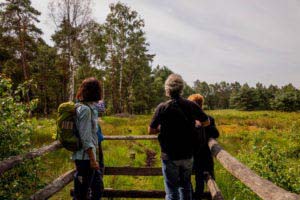 Nordpfad Dör't Moor - Zwischen Urwald und Pfaden 29 nordpfade