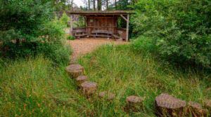 Nordpfad Dör't Moor - Zwischen Urwald und Pfaden 31 Nordpfad Dör't Moor - Zwischen Urwald und Pfaden 18