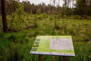 Nordpfad Dör't Moor - Zwischen Urwald und Pfaden 33 Nordpfad Dör't Moor - Zwischen Urwald und Pfaden 20