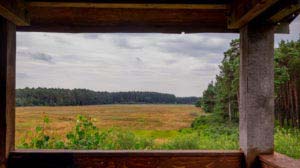 Nordpfad Dör't Moor - Zwischen Urwald und Pfaden 44 Nordpfad Dör't Moor - Zwischen Urwald und Pfaden 31