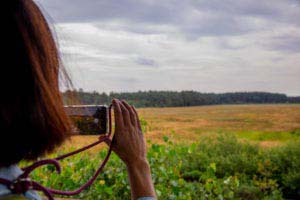 Nordpfad Dör't Moor - Zwischen Urwald und Pfaden 45 Nordpfad Dör't Moor - Zwischen Urwald und Pfaden 32
