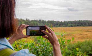 Nordpfad Dör't Moor - Zwischen Urwald und Pfaden 48 Nordpfad Dör't Moor - Zwischen Urwald und Pfaden 34