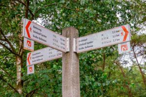 Nordpfad Dör't Moor - Zwischen Urwald und Pfaden 53 Nordpfad Dör't Moor - Zwischen Urwald und Pfaden 39