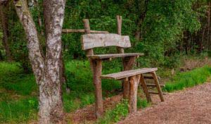 Nordpfad Dör't Moor - Zwischen Urwald und Pfaden 54 Nordpfad Dör't Moor - Zwischen Urwald und Pfaden 40