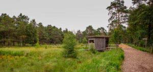 Nordpfad Dör't Moor - Zwischen Urwald und Pfaden 55 Nordpfad Dör't Moor - Zwischen Urwald und Pfaden 41