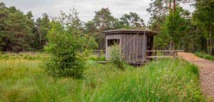 Nordpfad Dör't Moor - Zwischen Urwald und Pfaden 56 Nordpfad Dör't Moor - Zwischen Urwald und Pfaden 42
