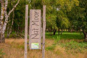 Nordpfad Dör't Moor - Zwischen Urwald und Pfaden 63 Dört Moor