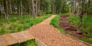Nordpfad Dör't Moor - Zwischen Urwald und Pfaden 70 Nordpfad Dör't Moor - Zwischen Urwald und Pfaden 55