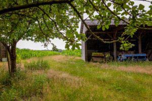Nordpfad Dör't Moor - Zwischen Urwald und Pfaden 78 Nordpfad Dör't Moor - Zwischen Urwald und Pfaden 62