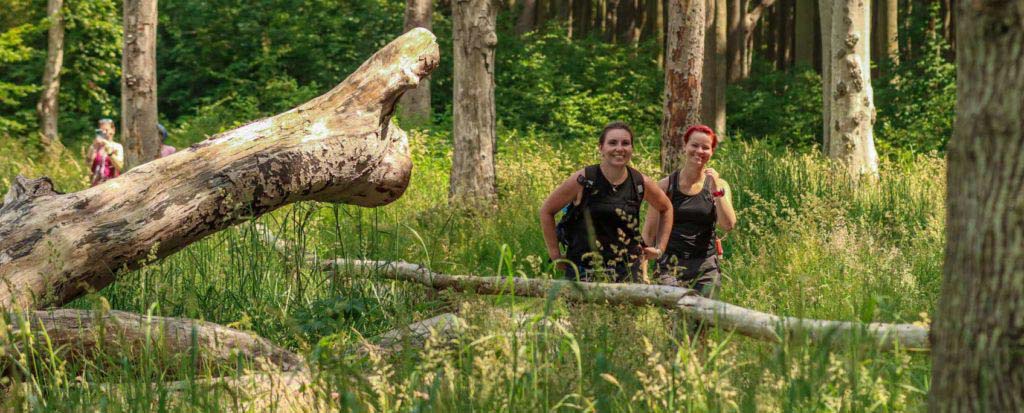 Ruhe statt Rummel: Diese 5 Wanderziele in Deutschland kennt (noch) kaum jemand – perfekt für dein Natur-Timeout 6 Wandern